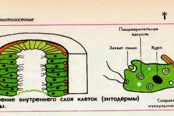 Даркнет закладки